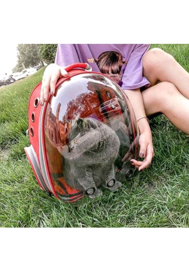 حقيبة ظهر بهيكل متين وتصميم محمول تصلح للخروج وأغراض السفر أحمر / شفاف 31x42x28سم - Image 3